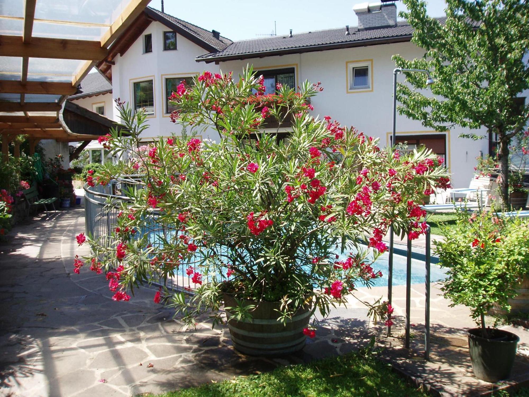 Hotel Bellevue Tirolo Zewnętrze zdjęcie